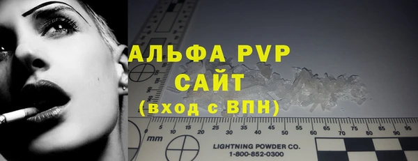 стаф Арсеньев