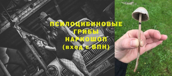 трава Аркадак