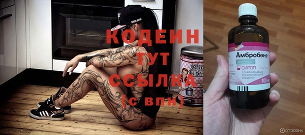 стаф Арсеньев