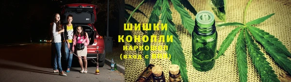 трава Аркадак