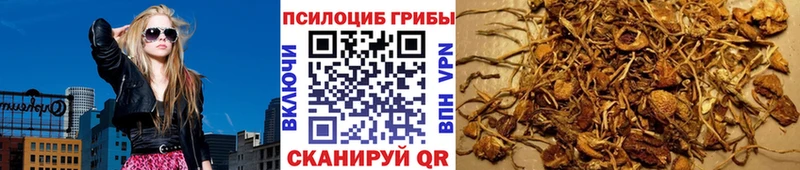 ссылка на мегу зеркало  Югорск  Галлюциногенные грибы Psilocybine cubensis 